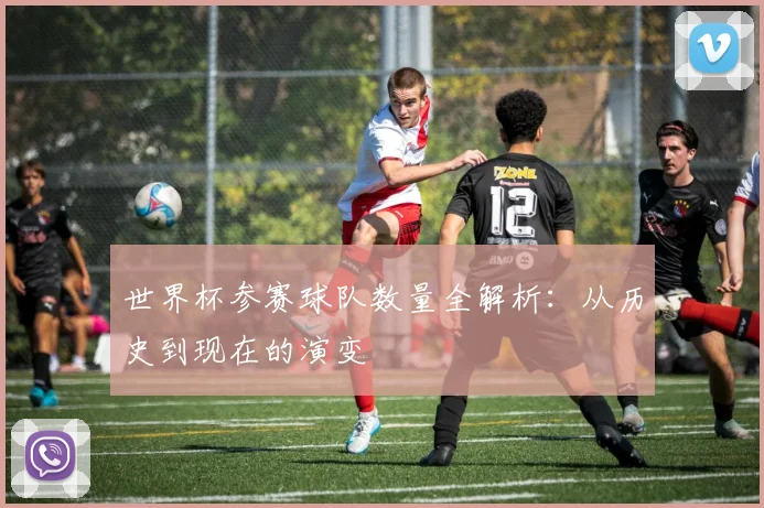 世界杯参赛球队数量全解析：从历史到现在的演变
