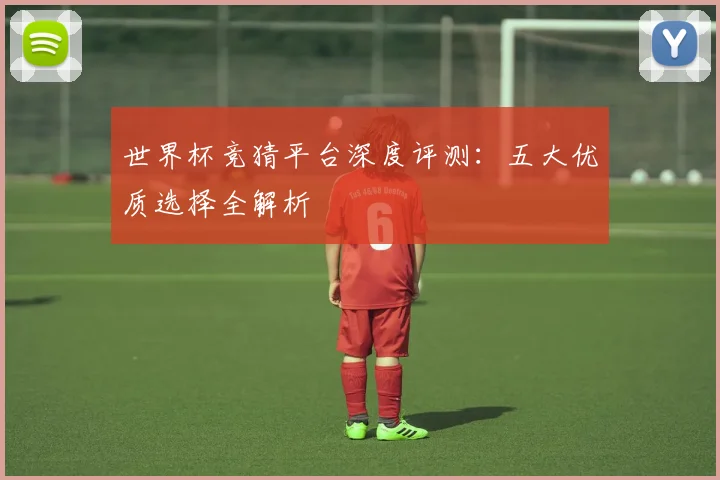 世界杯竞猜平台深度评测:五大优质选择全解析