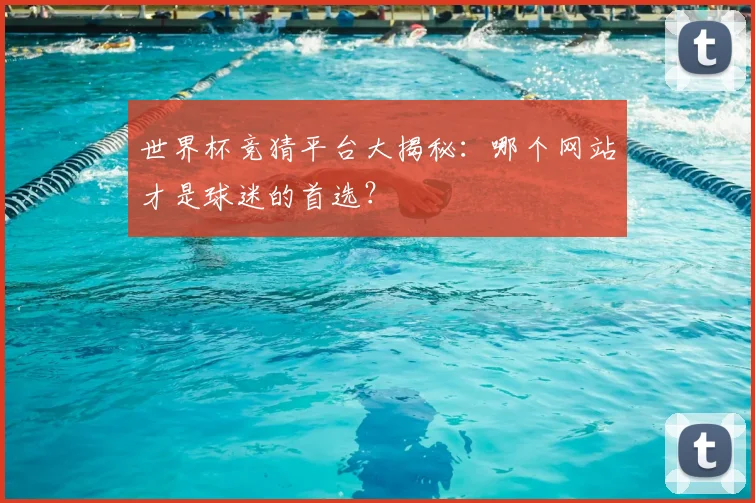 世界杯竞猜平台大揭秘:哪个网站才是球迷的首选?