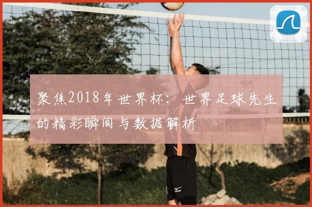 聚焦2018年世界杯:世界足球先生的精彩瞬间与数据解析